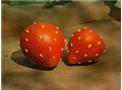 What's Your Favorite Fruit?